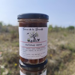 Ketchup maison Epicé (250g)