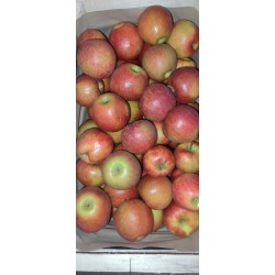 Pomme Jonaprince (100g)